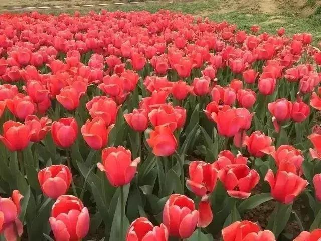 陕西省哪些市发展好,陕西各个县发展排名