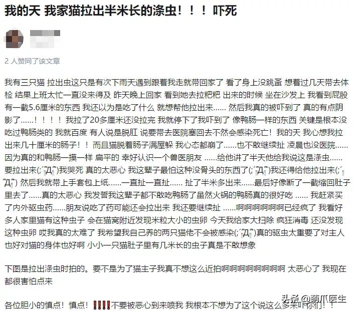 猫从来不出门要洗澡吗,猫从来不出门会感染绦虫嘛