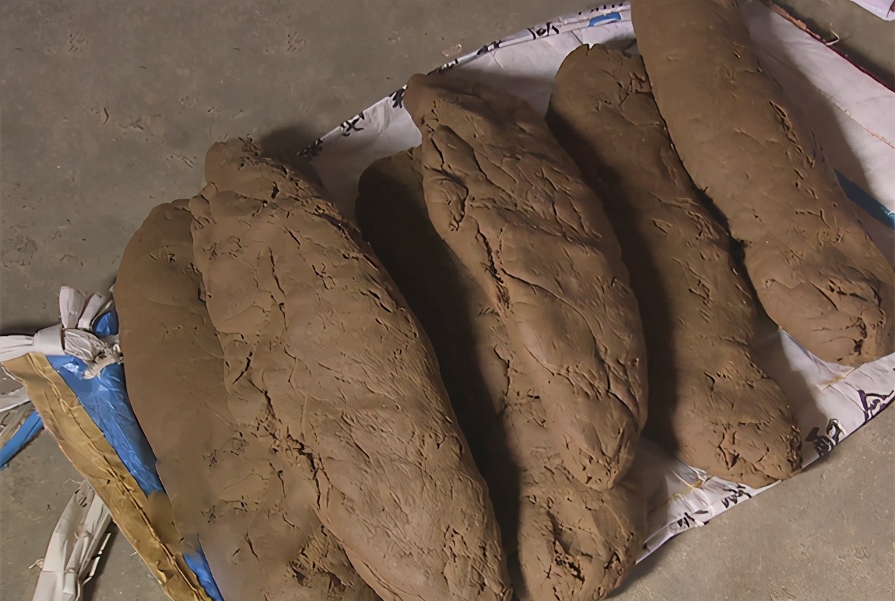 大棚养殖老鳖,大棚养鳖技术