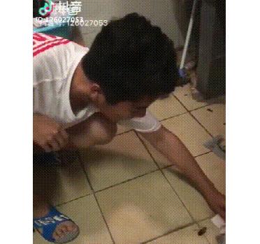 家中蟑螂怎么消灭最彻底,灭蟑王药是怎样消灭蟑螂的