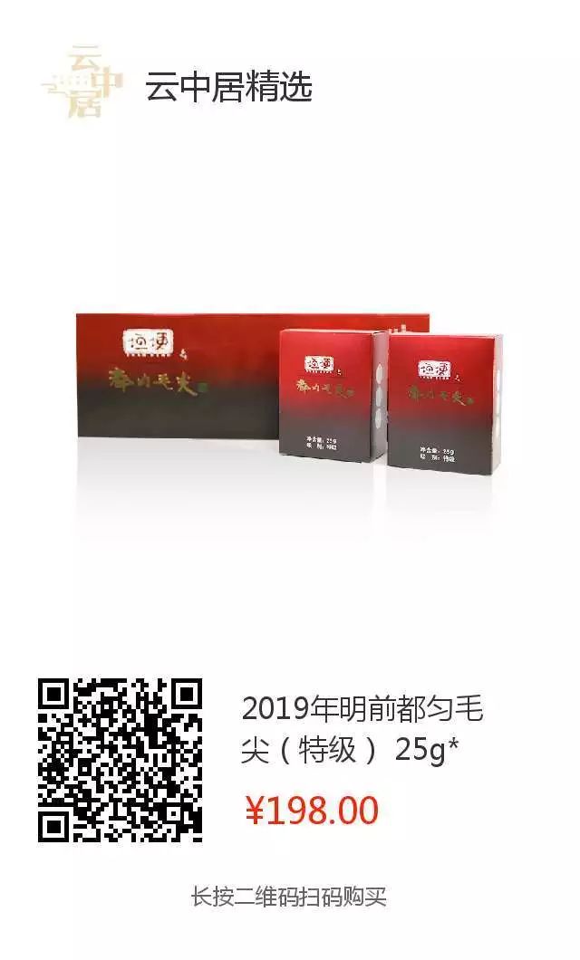 一分钟了解都匀毛尖,都匀毛尖有什么好处