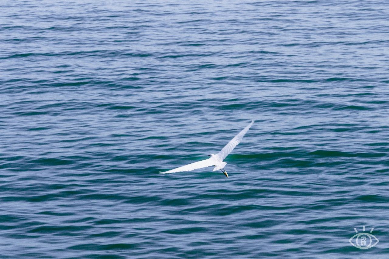 放假在深圳能去哪里玩,放假了可以去深圳的哪些地方玩