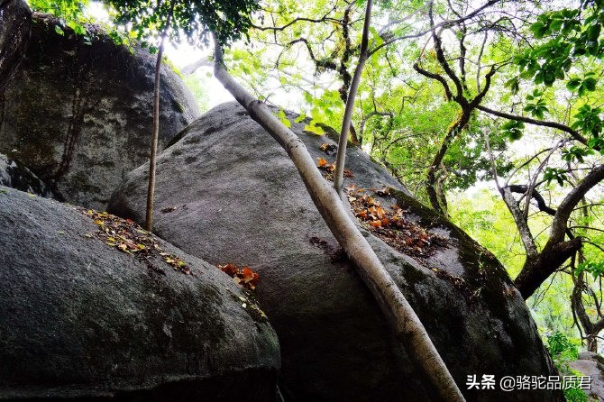厦门海边之旅,厦门小众旅游体验