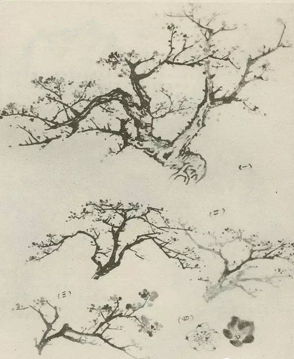 画树教程,怎么画树好看又超级简单