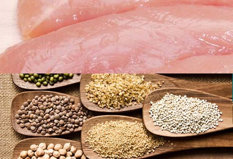 狗粮哪个牌子质量好性价比高,国产狗粮哪种便宜又性价比高