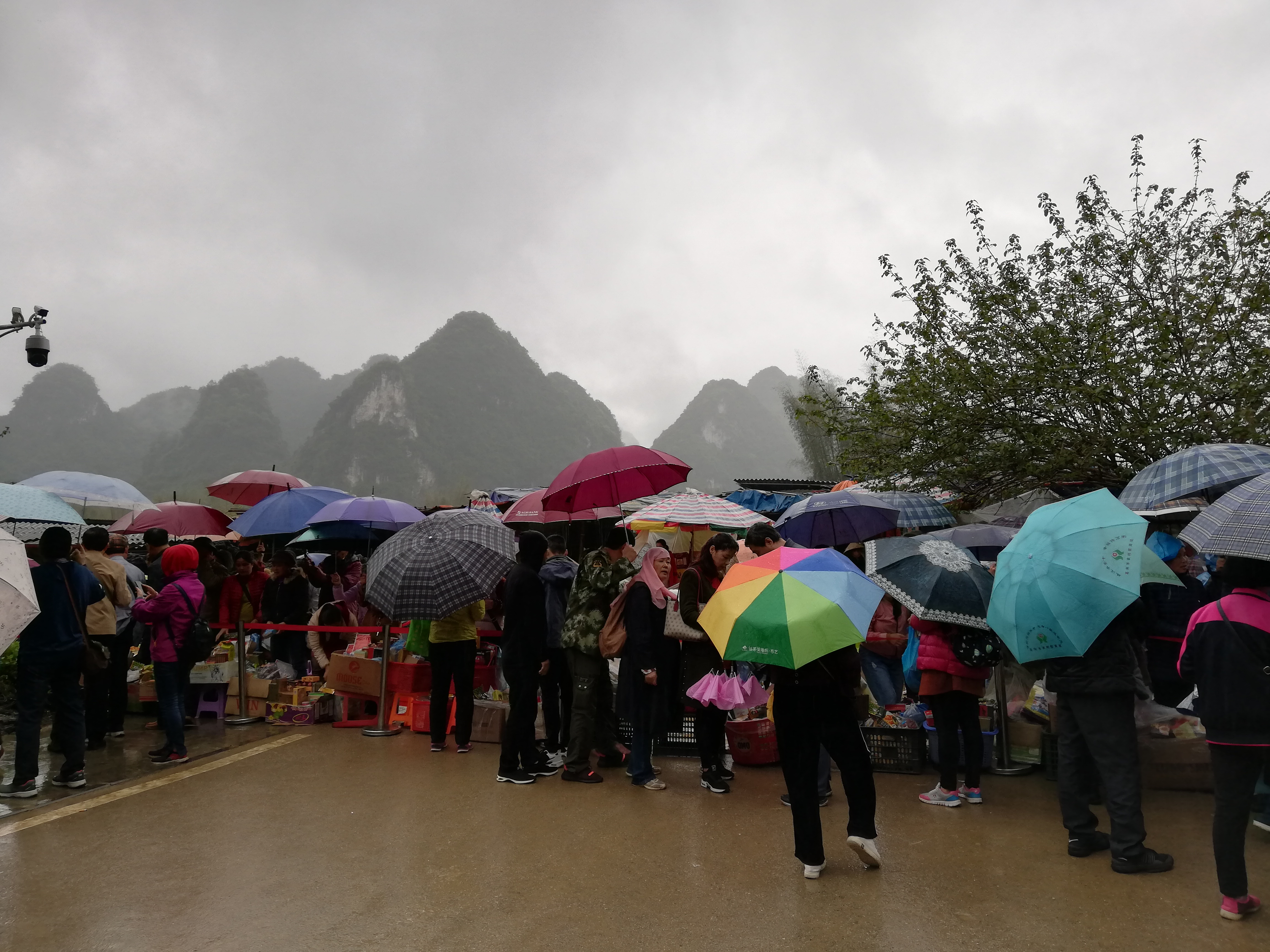 巴马100岁老人长寿秘诀视频,巴马五大长寿之乡之首