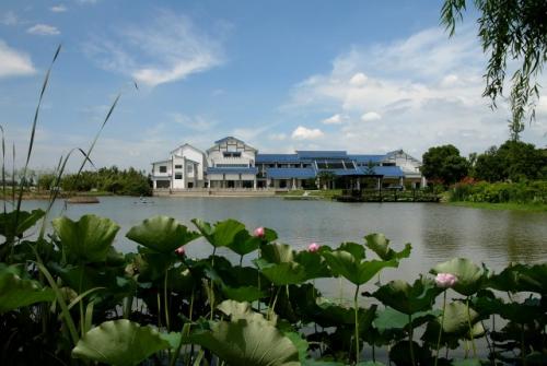 浙江嘉兴市秀洲区旅游景区,浙江省嘉兴市海宁盐官旅游景区