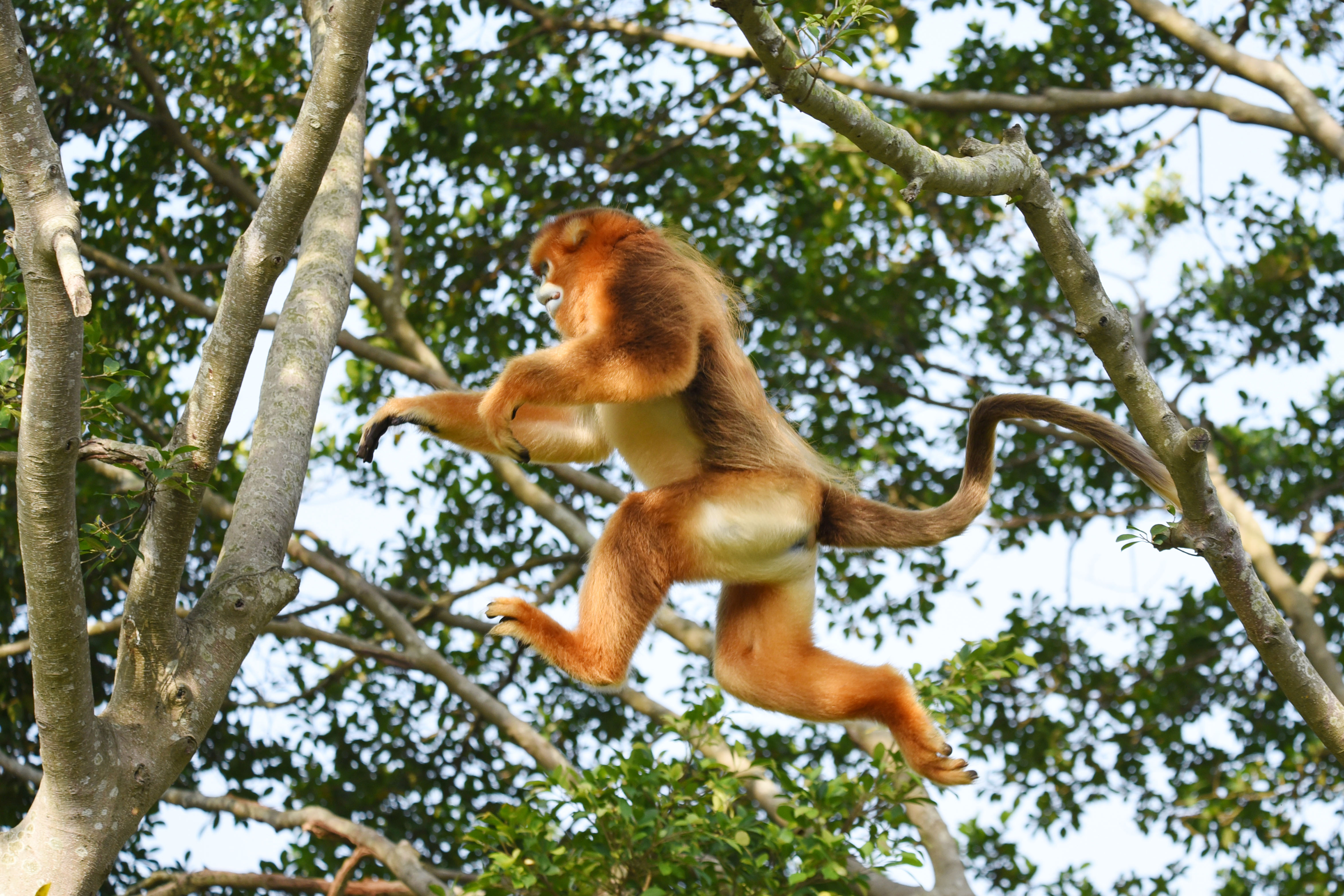 五一黄金周景区促销方案,五一旅游必看的10个项目