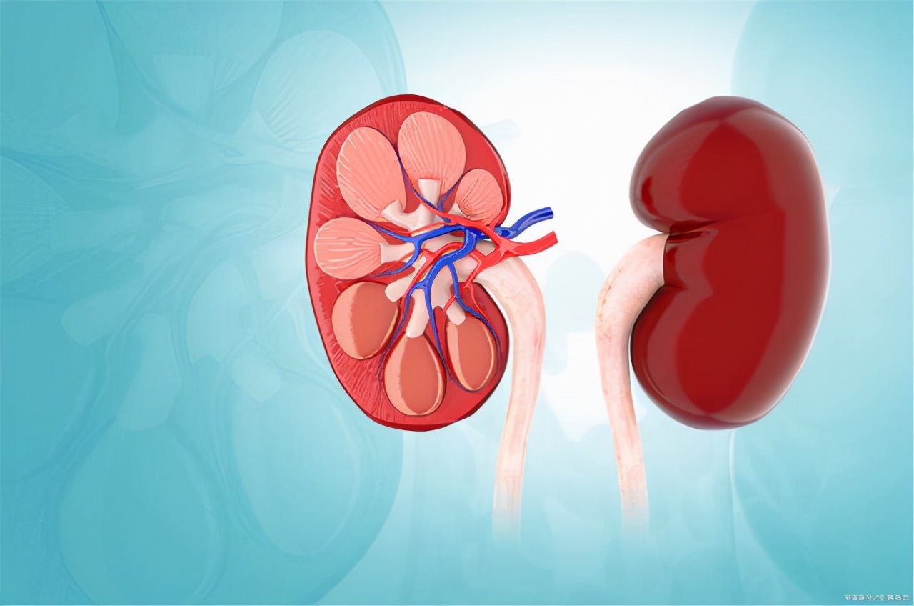中医治疗慢性肾衰竭最新疗法,男性肾衰特效药