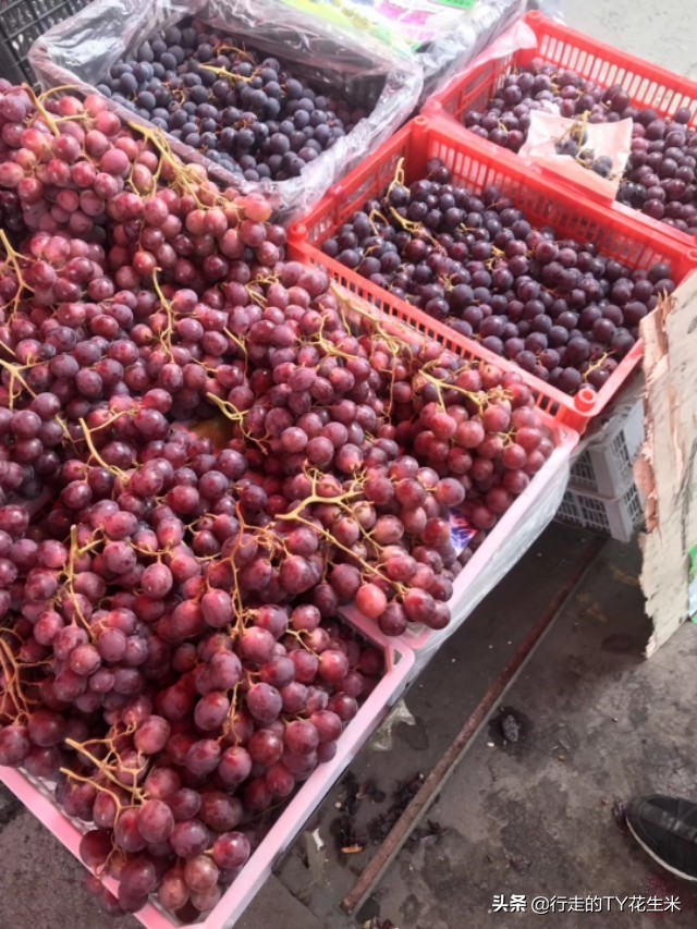 郑州万邦市场8月份蔬菜批发价格 (河南郑州万邦国际市场水果批发价)