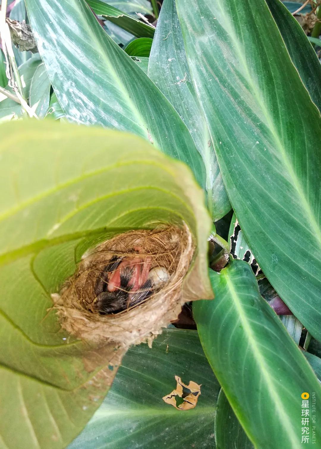 林草领域知识图谱,林草科普专业术语