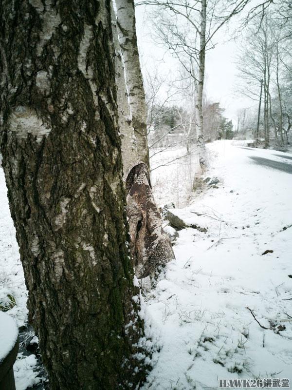 用照片说话：德国幻影公司“黄蜂II”Z4迷彩实际伪装效果如何？