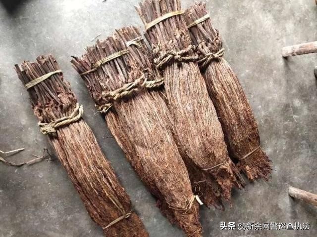 一条“抖音”视频，牵扯出一桩售卖假冒雪茄烟案件