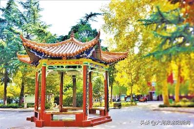 深耕沃土付韶华方得桃李香天下——记洛阳市第八中学