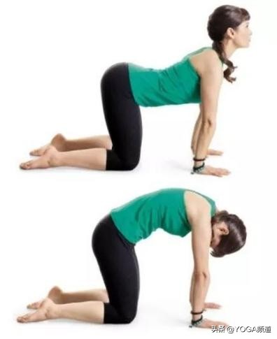 专治腰椎颈椎疼痛健身操,颈椎腰椎关节疼痛吃什么药