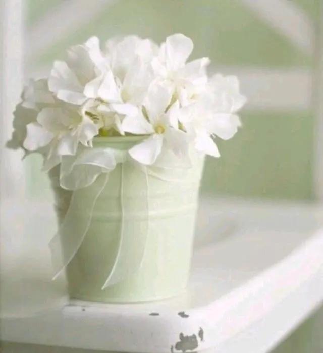 夜晚发圈有深度的句子,发圈阳光的句子