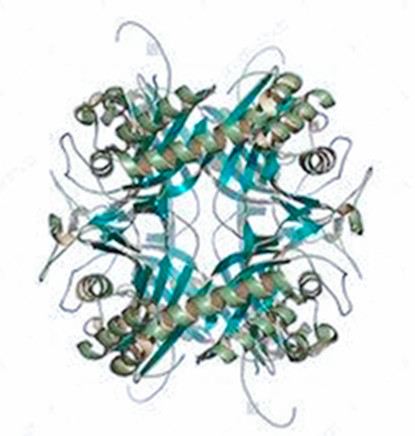 血尿酸高了怎么治？抑制合成少产生