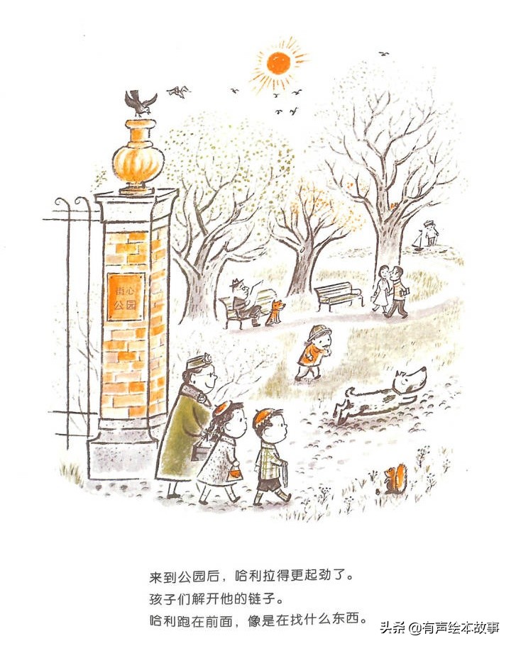 儿童故事哈利的花毛衣,哈利不可以有声绘本故事