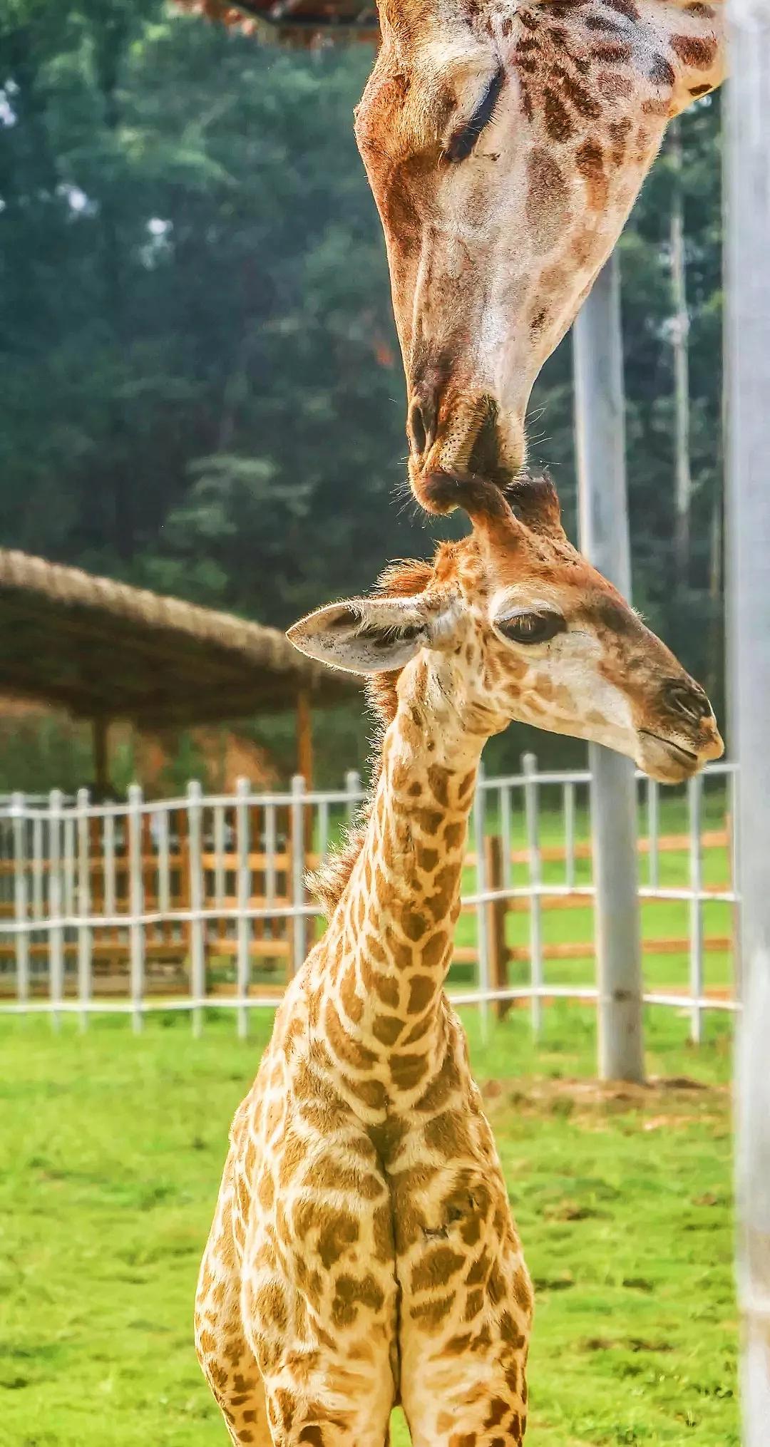 适合所有人旅行的5个宝藏目的地,游玩新体验每周必去的宝藏好地