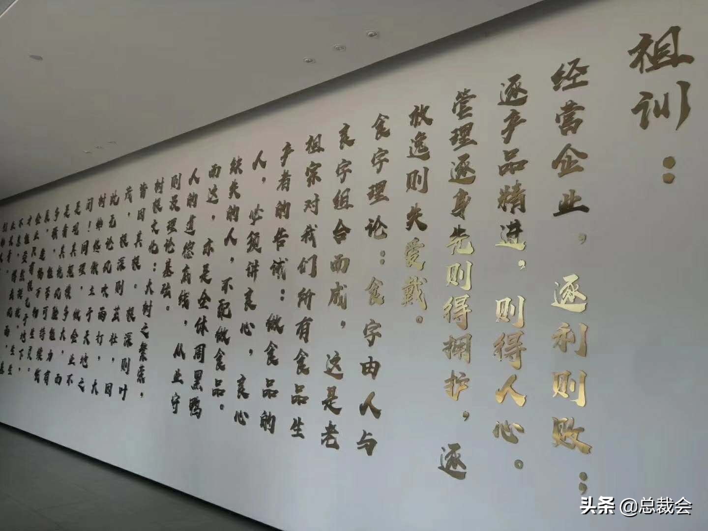 总裁会中国行,武汉周黑鸭工业园