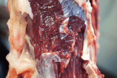 正宗潮汕牛肉丸纯手工第一名,潮汕正宗手打牛肉丸劲道爆汁