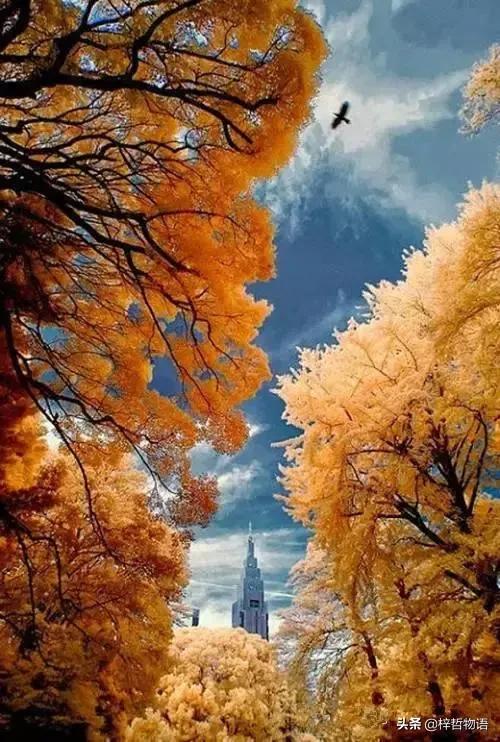 知乎摘录精彩问答56条，读后让人豁然开朗！