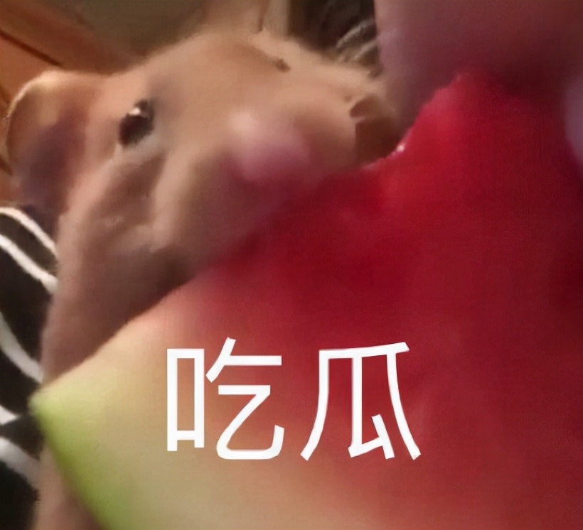 刘晓庆究竟有多少钱,六十五岁刘晓庆回老家买墓地