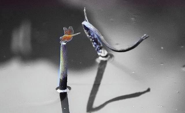 写给正在老去的60后感悟人生,写给60后歌