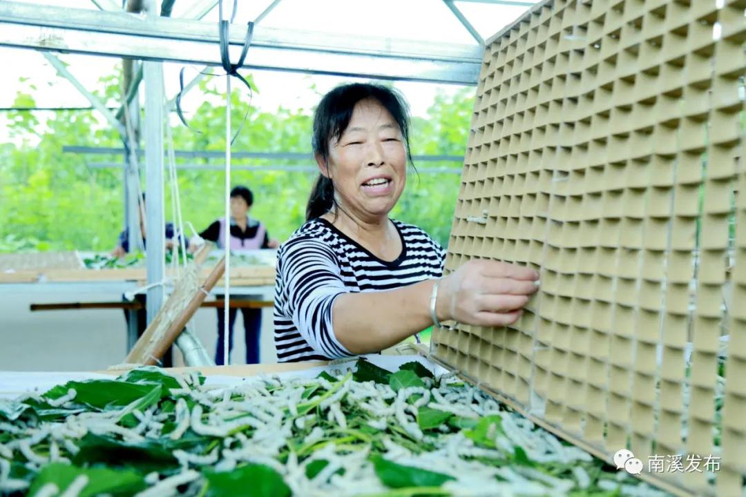 栉风沐雨一百年砥砺前行谱华章,栉风沐雨秉初心砥砺奋进谱华章