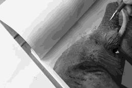 鲁班家私的科技布沙发,鲁班科技布沙发价格表