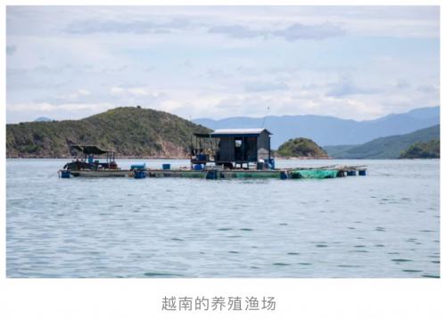 “商品博物馆”上线多点APP今年进博会同款的火腿肉提前买起来