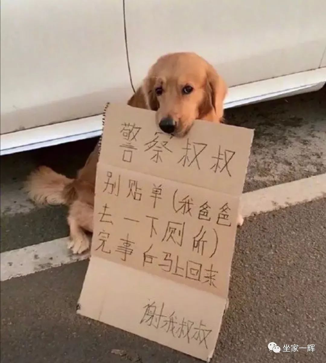 30种网赚骗术套路揭秘超深度干货,常见的20种网赚骗术揭秘