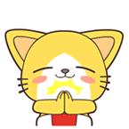 「优质港货」珂润面霜，用过一次就被征服了……