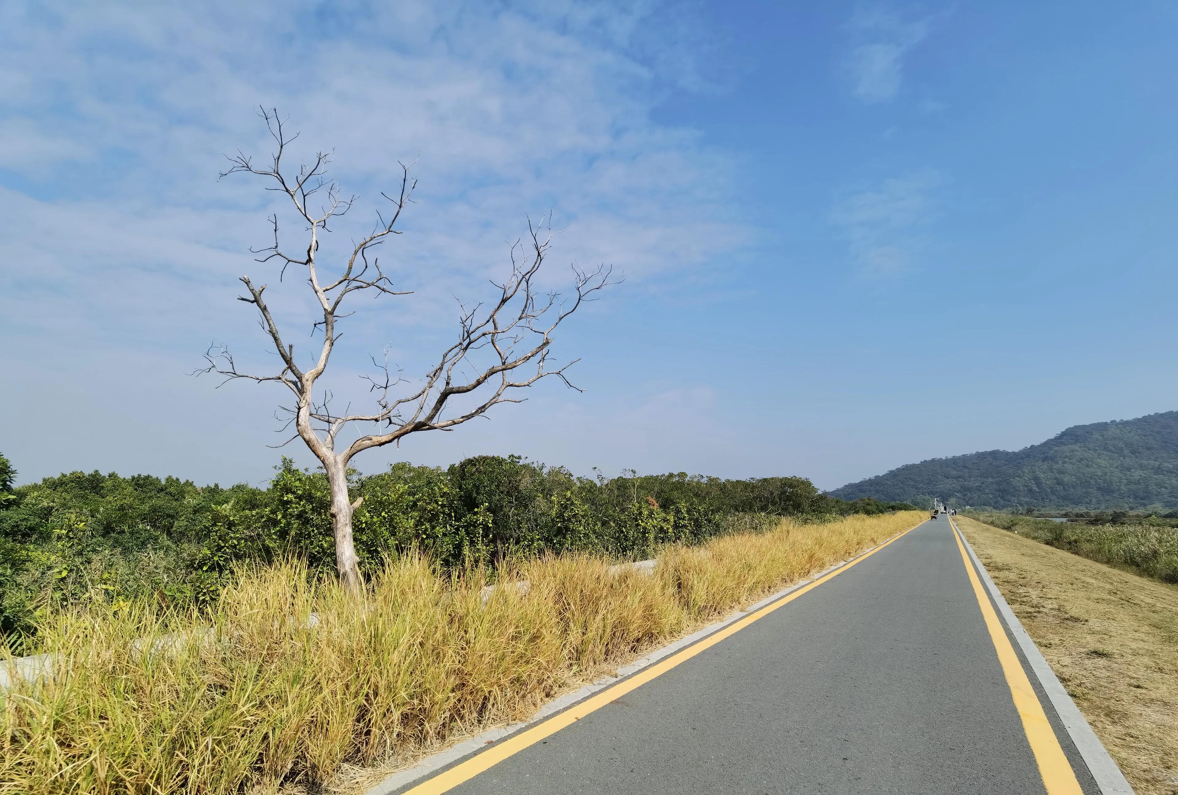 珠海4天3晚游玩攻略,珠海3天游玩攻略图