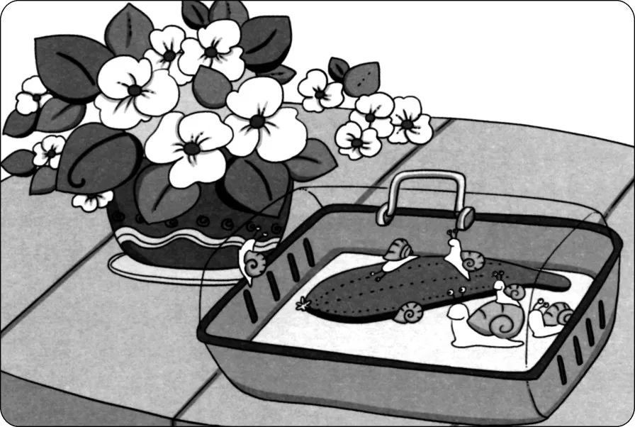 小学一二年级看图写话范文,小学一二年级看图写话范文大全