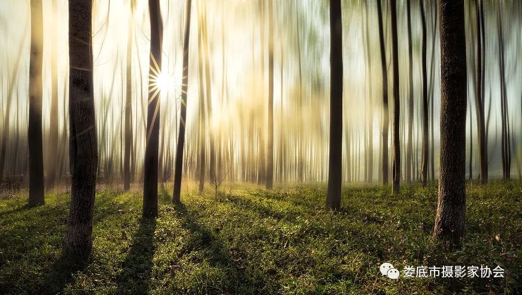 最新风景摄影小品欣赏,娄底景观小品