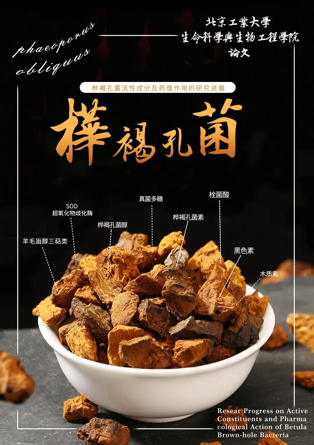 桦褐孔菌与其它保健品区别,桦褐孔菌十大功效