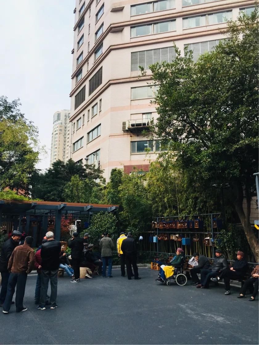 上海西康公园下象棋,上海西康公园地址