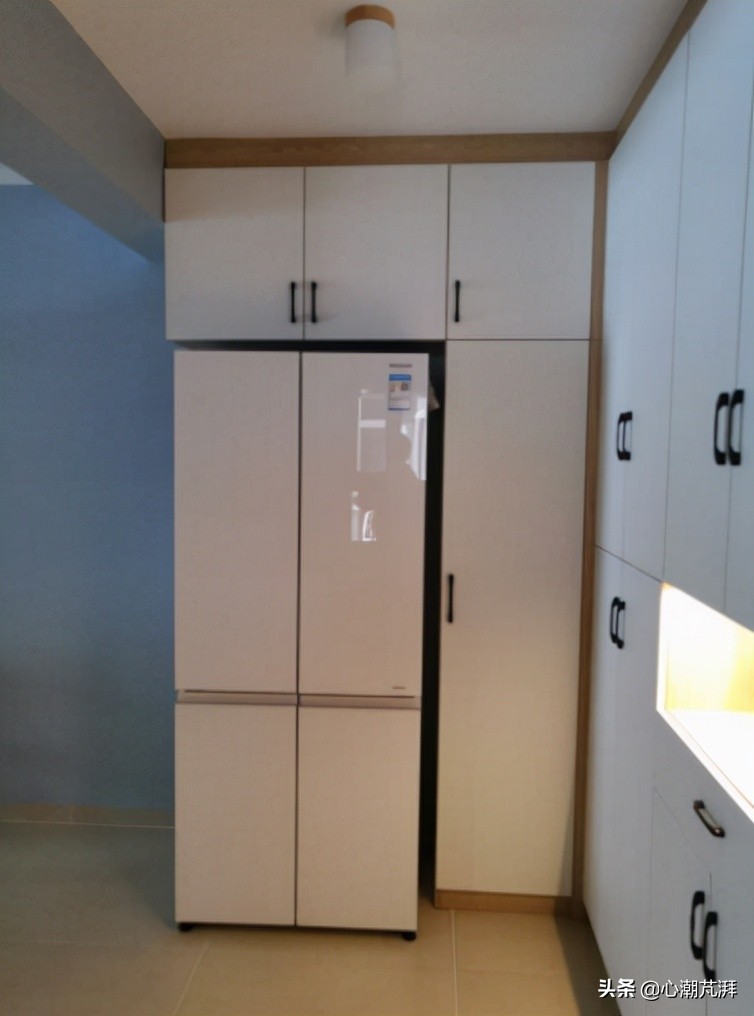 冰箱装修知识讲解图大全,装修日记冰箱一定要好好选
