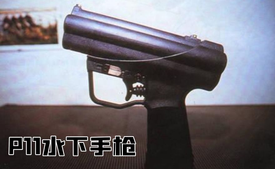 英国枪史图册全篇,德国枪图片