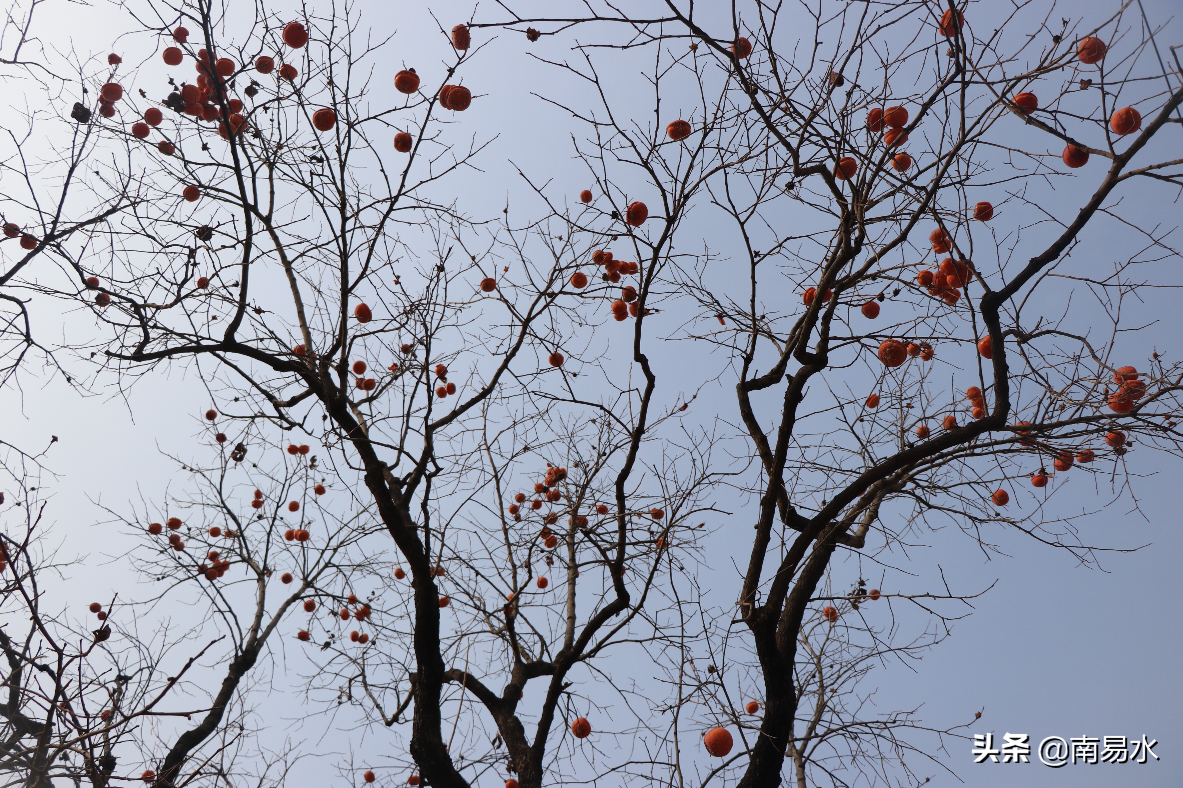 家乡风景带你一起感受自然的味道,令你难以忘怀的家乡的味道