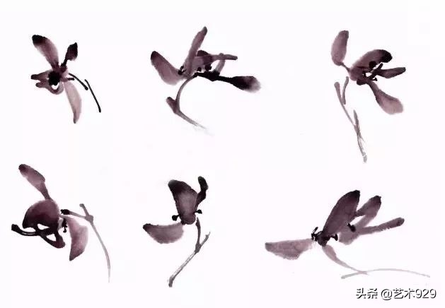 国画兰花画法免费技法教程,国画兰花绘画图