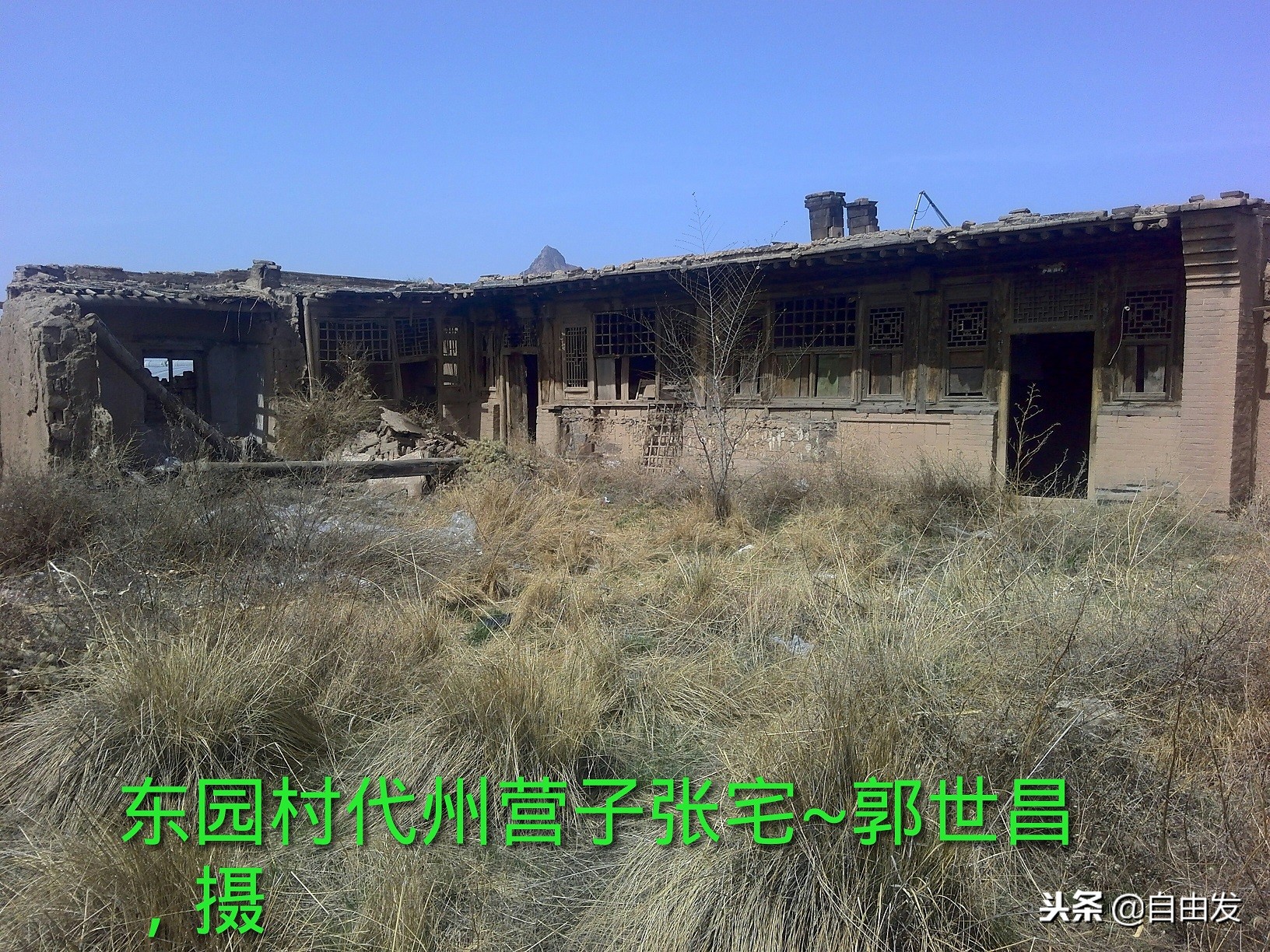 东园青史三百年（一）