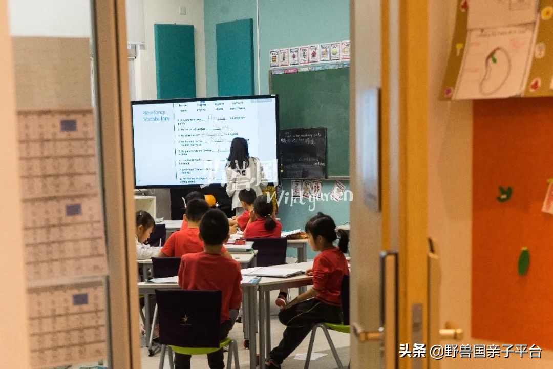 一年20万学费的清澜山学校,都在学些什么?