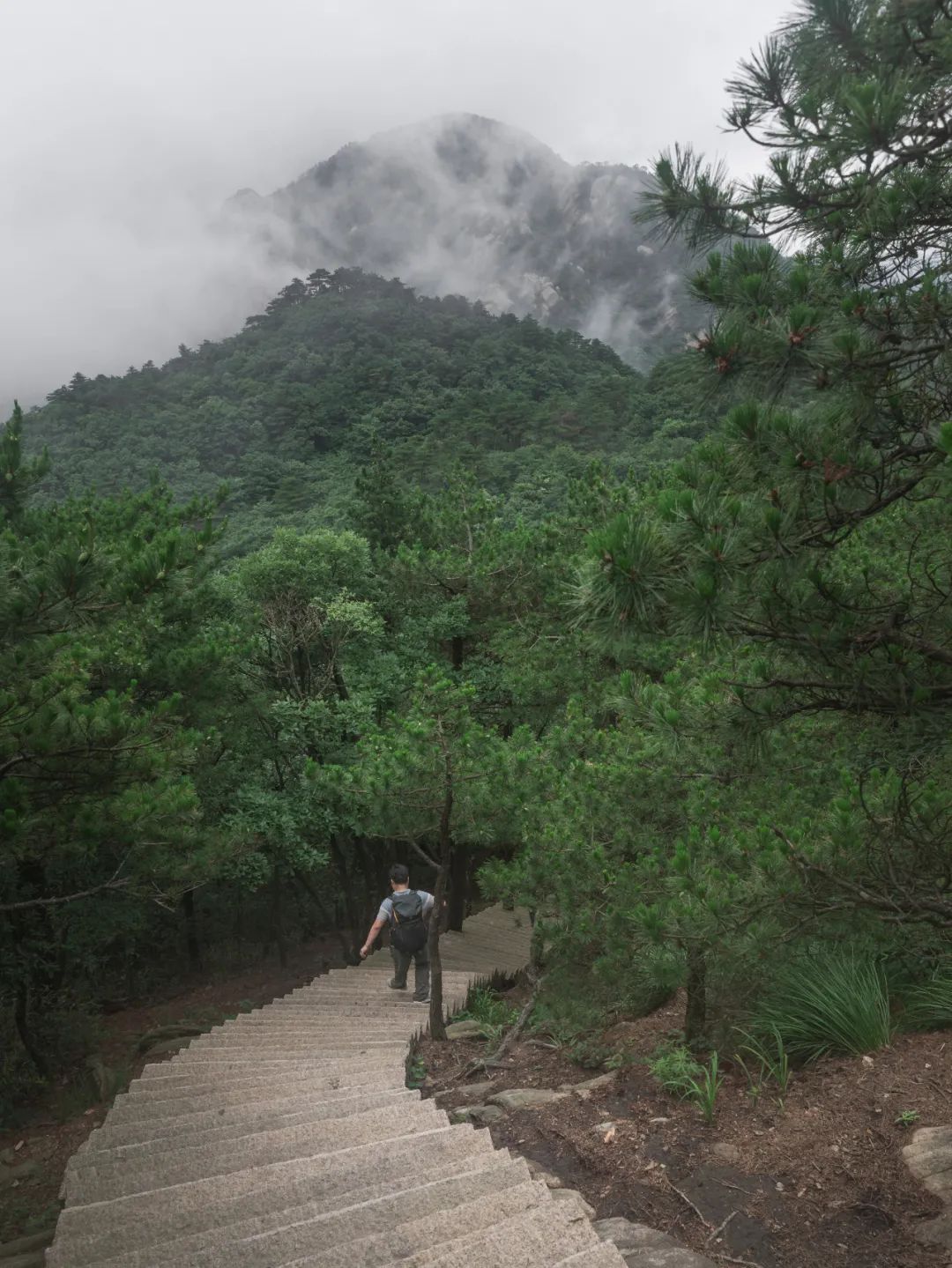 我国四大名山九华山,四大佛教名山哪个风景最美