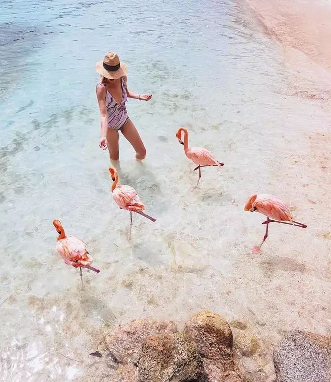 女神节有无与伦比的美丽,女神节浪漫游花海