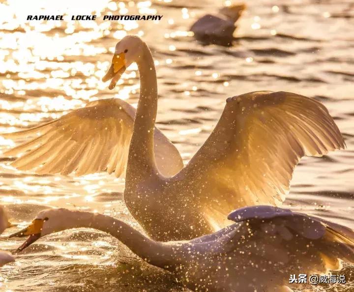 威海全家出游攻略,威海冬天旅游攻略必去景点