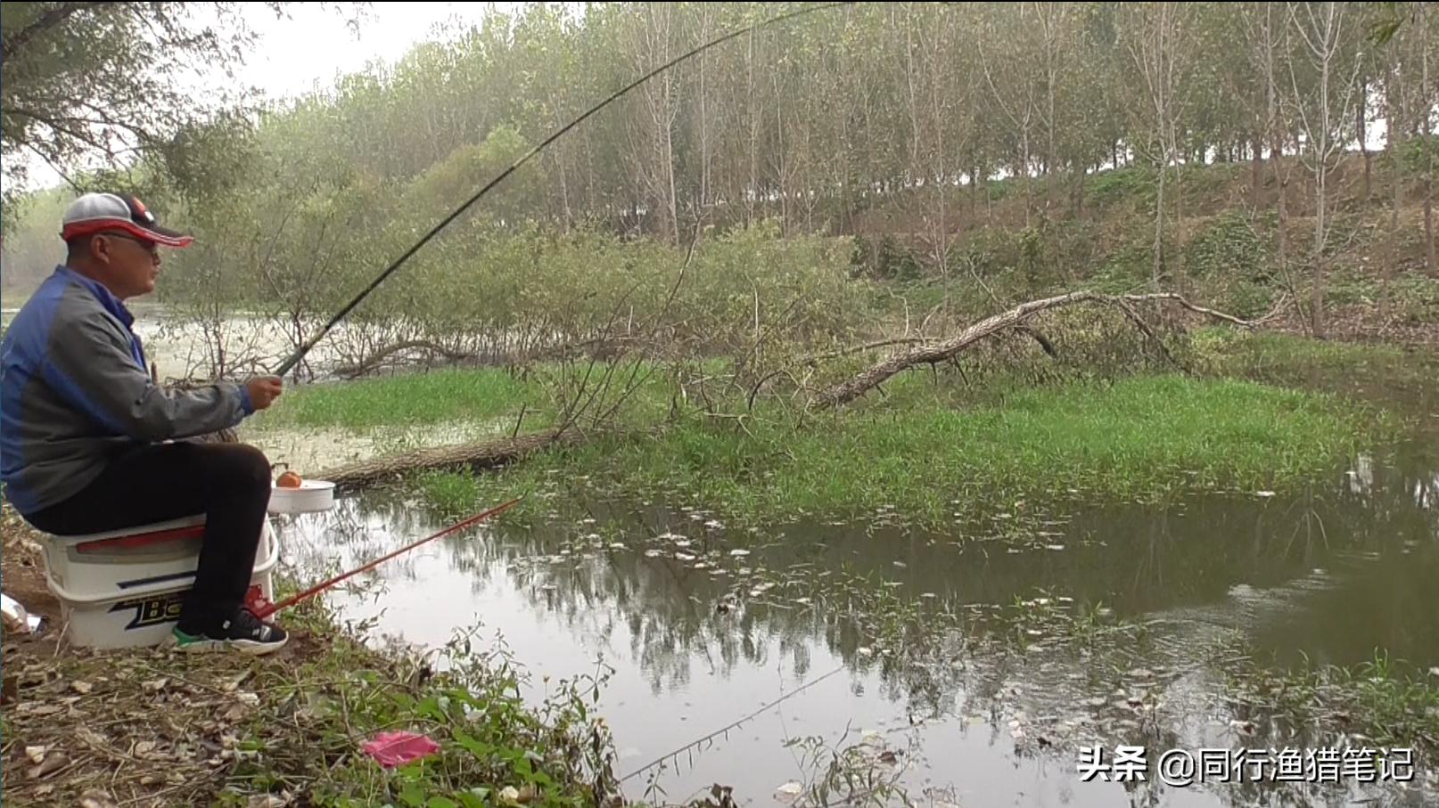 钓鲫鱼多长的子线合适,春季钓鲫鱼子线用长还是短子线