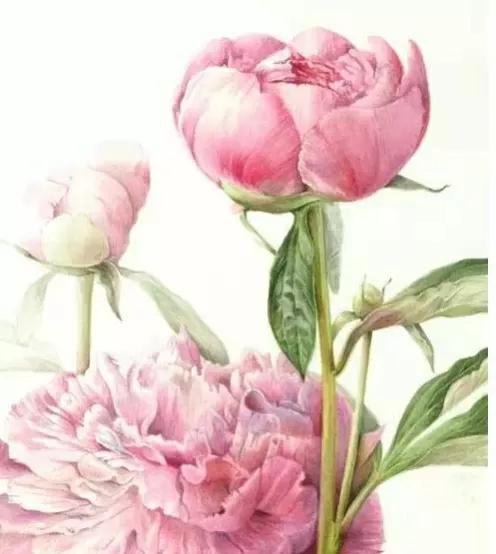 女人如水妻子越柔越旺夫旺家,女人温柔如水才能旺家