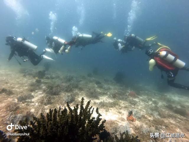 潜水会浮起来怎么办,如何潜水在水底不浮起来